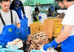 帰港した「信勝丸」でカニの重さを量る乗組員ら＝６日午後２時半ごろ、岩美町の網代漁港