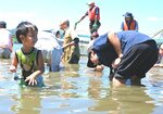 池に漬かり、夢中でシジミを探す参加者ら＝５日、鳥取市の湖山池