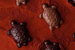 　小さな亀の形をした限定品のチョコレート（提供写真）
