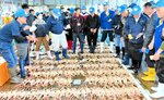 上屋に並んだ松葉ガニを競り落とす仲買人＝７日、香美町香住区の柴山漁港