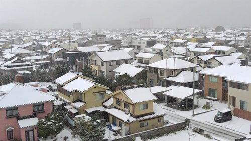 22日正午頃