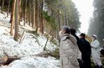 　「アテ」と呼ばれるヒバの林を見学する「能登ヒバサポーター」の関係者＝２月、石川県輪島市