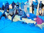 大しめ縄の親じめ編み込み作業をする保存会のメンバーと地域住民