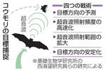 　コウモリの目標捕捉