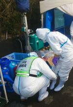 　鳥インフルエンザが発生した、鹿児島県南さつま市の養鶏場での殺処分作業に臨む関係者＝１１日午前（県提供）