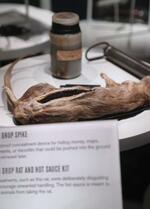 　米ＣＩＡの「博物館」にあるスパイ活動に関する展示。ネズミの死骸は、中に隠した伝言を届けるために利用された＝バージニア州ラングレー（共同）