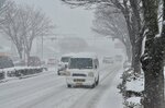24日午前８時５５分ごろ、米子市両三柳