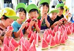 みずみずしく甘い大栄スイカを味わう園児たち＝６日、北栄町妻波のＪＡ鳥取中央大栄西瓜統合選果場