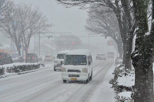 24日午前８時５５分ごろ、米子市両三柳