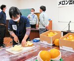 クレオパトラメロンの出来栄えを確認する職員ら＝２４日、湯梨浜町久留のＪＡ鳥取中央羽合支所