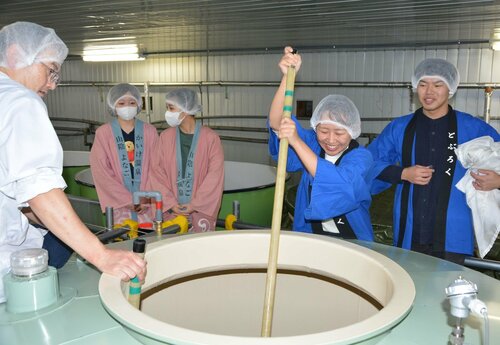 蒸し米やこうじが入ったおけを長い棒でかき混ぜる参加者＝６日、境港市大正町の千代むすび酒造