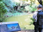 白兎神社横の「不増不減の池」。鳥取砂丘の西の端で、岩盤と砂丘の境界にあり季節を問わず水量は一定