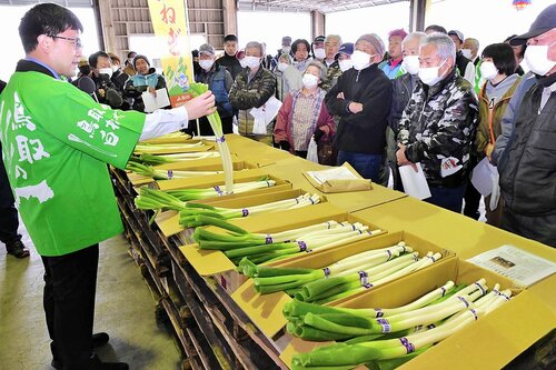  ＪＡの担当者から出荷基準について説明を受ける生産者＝２９日、米子市富益町の弓浜青果物集出荷予冷センター 