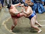 　大栄翔（左）を攻める大の里。押し出しで下す＝両国国技館
