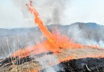 ススキの草原を焦がす炎は、はじける音とともに時折、渦を巻くことも＝１９日、新温泉町の上山高原