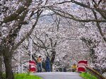 ２日、南部町法勝寺