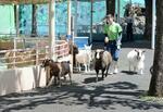 　動物と親しめる江戸川区自然動物園＝東京都江戸川区