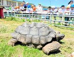 引っ越ししただいちくんに歓声を上げる園児ら