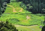 わかさ氷ノ山スキー場の樹氷スノーピアゲレンデに登場した芝生アート＝若桜町※米　※は券の刀が旧