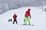 雪が舞う中スキーを楽しむ利用客＝９日、若桜町※米のわかさ氷ノ山スキー場　※は巻の己が旧