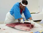　ふるさと納税の返礼品として提供される「マグロの解体ショー」（鳥取県境港市提供）