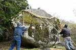はしごや竹ざおを使って新しいしめ縄を取り付ける会員ら＝１３日、鳥取市河原町の霊石山