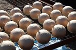 未使用花火はどうなる？（提供）