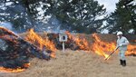  枯れ芝に燃え広がる炎＝１８日、鳥取県北栄町由良宿の由良台場跡 