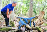 芸術家の山田風雅さんが流木と砂を使って制作した恐竜の造形物＝１９日、香美町小代区新屋の尼崎市立美方高原自然の家「とちのき村」