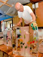 本番に向け準備が進む花氷＝１９日、鳥取市弥生町の金田商店