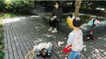 　中国でも日本と同様に少子化が顕著化している
