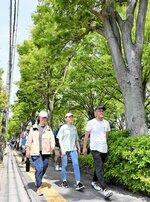 新緑のケヤキ並木を歩く参加者たち＝２１日、米子市東福原８丁目