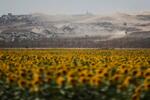 　イスラエルとガザ地区の境界＝１９日（ＡＰ＝共同）