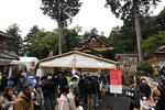 午前１０時半ごろ、鳥取市国府町の宇倍神社