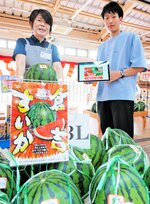 倉吉スイカの魅力をホームページで発信する鳥取大の相良さん（右）とわったいなの駒井事業統括部長＝鳥取市賀露町西３丁目の地場産プラザ「わったいな」