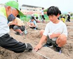 まいた伯州綿の種に土をかぶせる児童たち