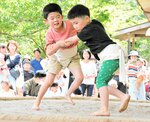 熱戦が繰り広げられた会場は、声援と歓声に包まれた＝１０日、新温泉町の浜坂相撲場