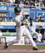 　３回ソフトバンク１死三塁、佐藤直が右前に先制打を放つ＝ＺＯＺＯマリン