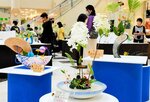 涼しげに生けられた季節の花々が並ぶ会場