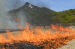 草原を覆う「山焼き」の炎＝８日、江府町御机の鏡ケ成