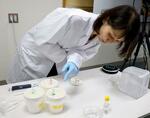 　蚊の吸血実験について説明する理化学研究所の佐久間知佐子上級研究員＝１８日、神戸市