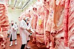 出品された枝肉の状態を確認する関係者＝１８日、大山町小竹の鳥取県食肉センター