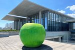 西日本最大級の大きさを誇る兵庫県立美術館。海に張り出した展望スペースには安藤氏がデザインした青リンゴのオブジェが置かれ、建物と風景が楽しめる