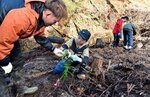 スギの苗を丁寧に植える用瀬小児童ら