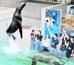 水中からのジャンプで発生する水しぶきを浴びるモニター体験会の参加者＝３日、豊岡市瀬戸の城崎マリンワールド