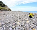 火山岩や堆積岩などさまざまな石と出合える大谷海岸