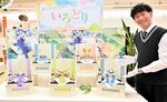 コンパクトで優しい色が特徴の五月人形「いろどりシリーズ」