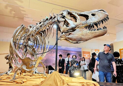 モンゴル・ネメグト盆地で見つかったタルボサウルスの全身骨格