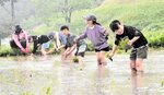 雨の中、田植えに挑戦する児童＝８日、香美町村岡区板仕野