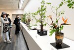 ８流派の会員たちの力作が並ぶ会場